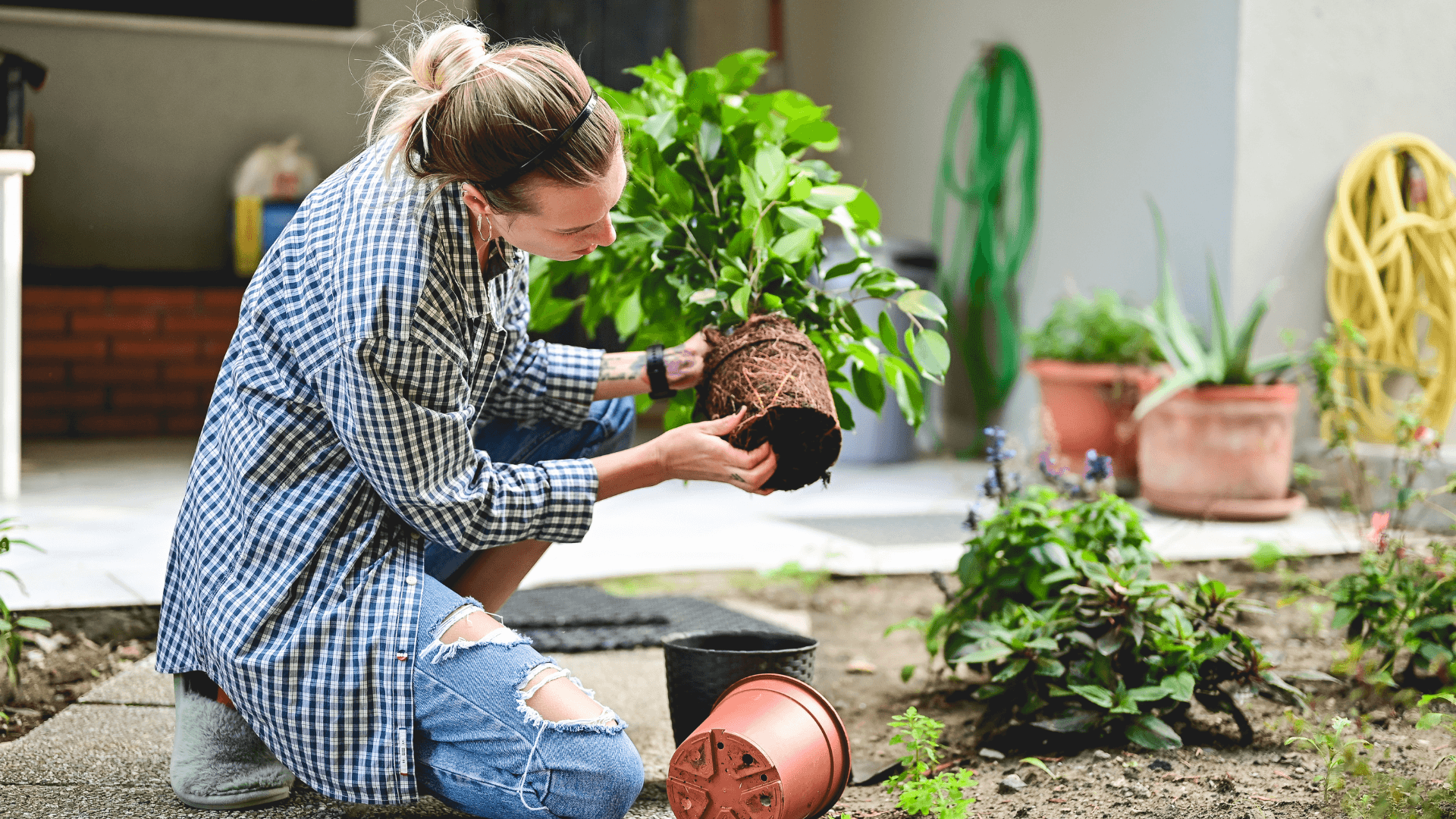 The ultimate garden guide for renters this summer